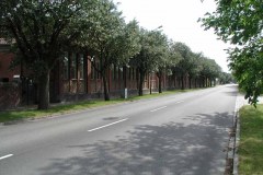 Limhamn