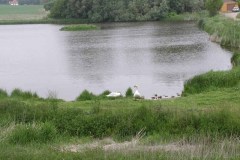 Skivarps f d sockerbruk 040607 08