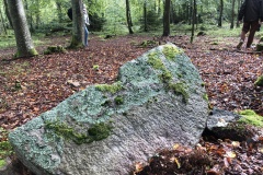 Vittseröd 5