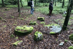 Vittseröd 6