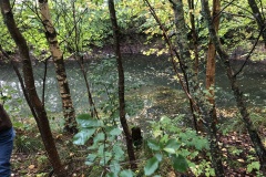 Vittseröd 8