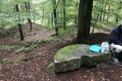 Vittseröd 12