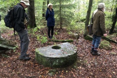 Vittseröd 16
