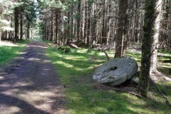 Kvarnsten-på-väg