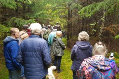 Stockning-i-Stenskogen